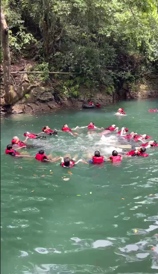 Berenang membuat lingkaran